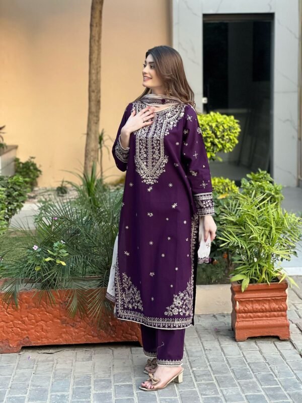 EMBROIDERY WORKED TOP, PANT AND DUPATTA