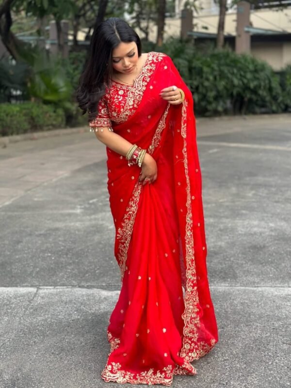 striking saree ensemble